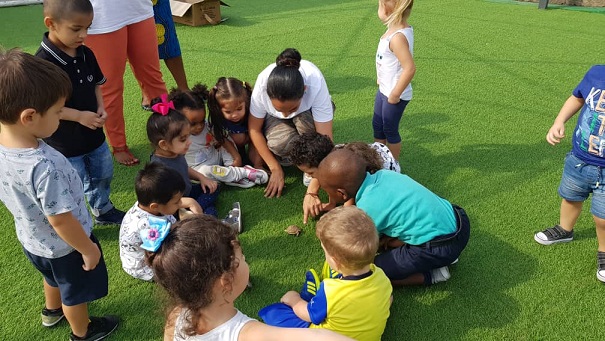 Playgroup Inquiring About Turtles