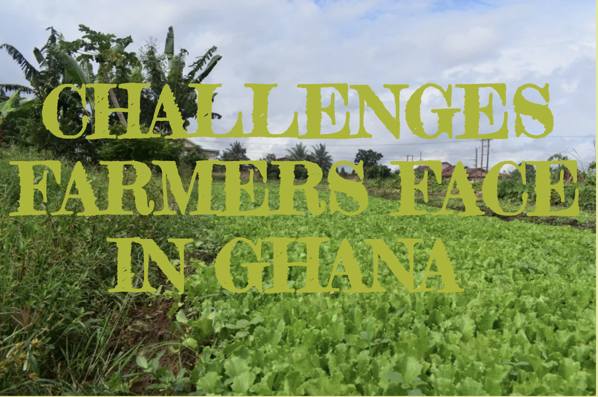 Challenges Farmers Face in Ghana, A Global Perspectives Project