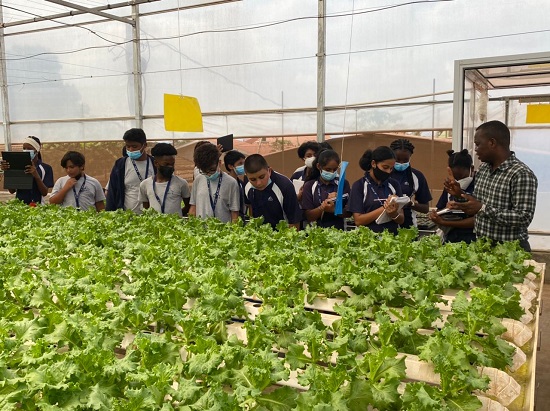 MYP 2 Year 8 Eagles take a Trip to Greenhouse Farm