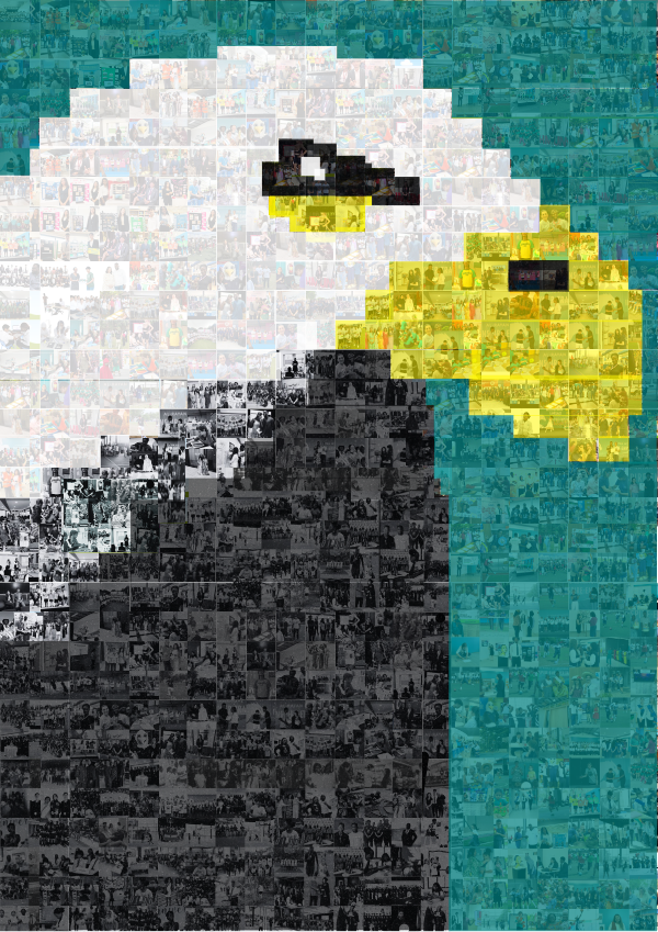 Yearbook